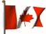 Maple Leaf Banner